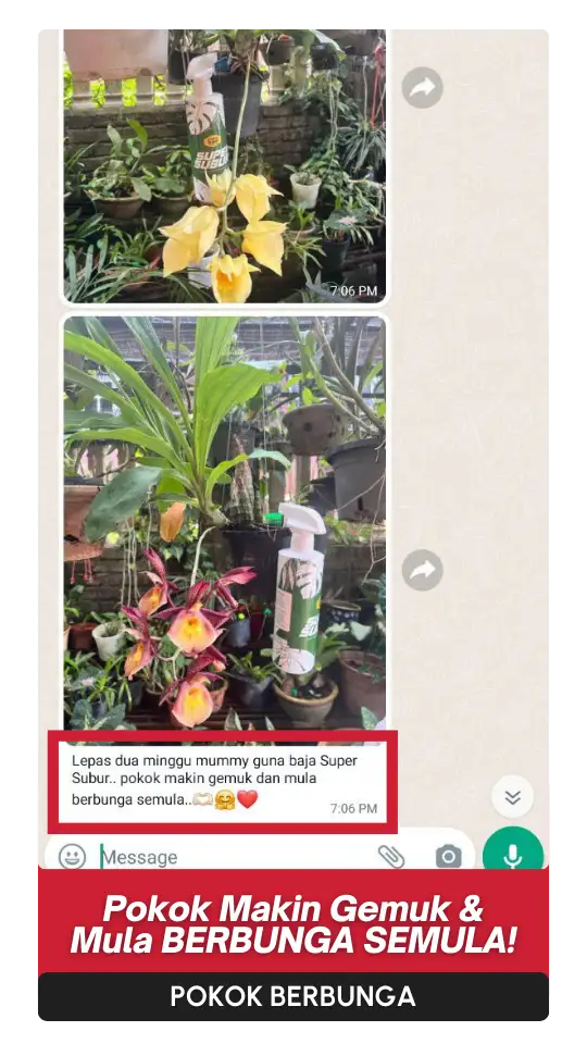 Testimoni-Bunga-5.webp